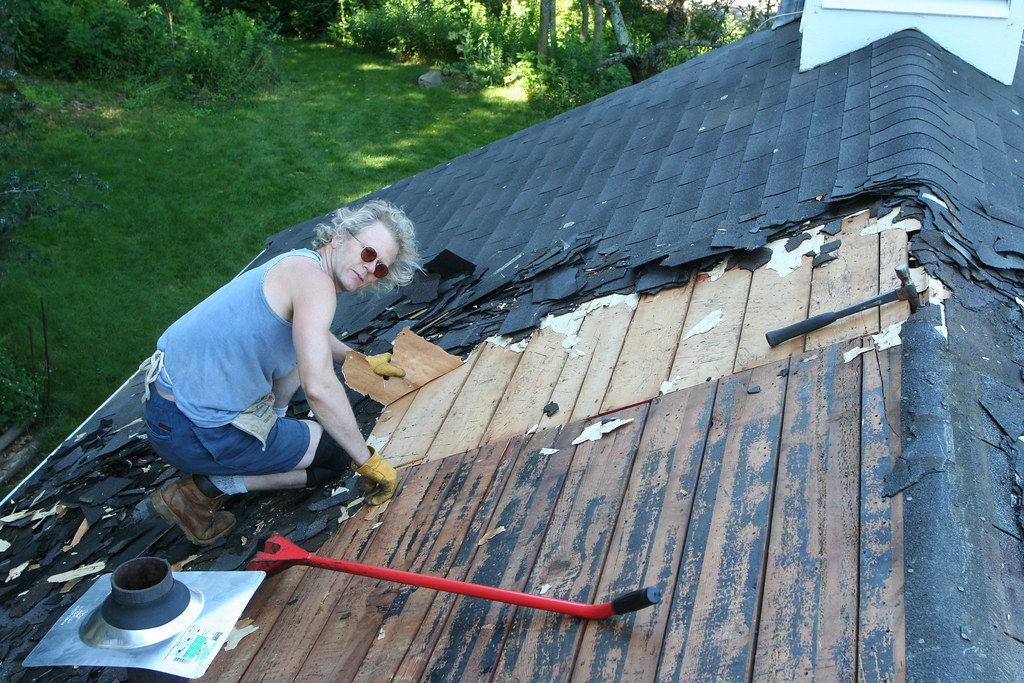 Paper, Most of the old roof had not had any felt put down -…